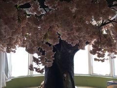 -猫猫幼稚园·撸猫·桌游·电玩