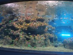 -沙沙哗啦海洋馆(华宇百花谷店)