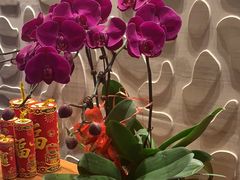 -富力万达嘉华酒店-品珍中餐厅(水果湖店)