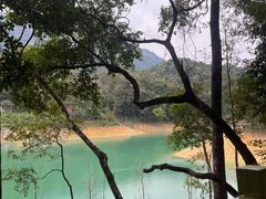 -广州市流溪河国家森林公园