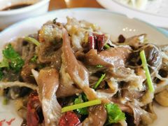 -鹤乡东北菜(崮山路店)