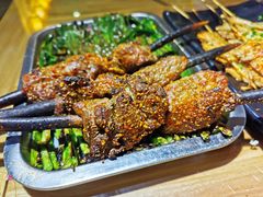 红柳羊肉-小院烤肉(公园南路店)