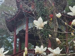 -乌山风景区