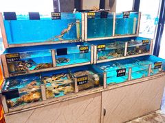 水产区-鲜炉季港式打边炉(尚海湾店)