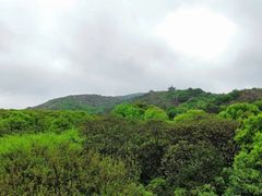 -白马涧龙池景区