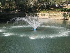 -普陀山风景名胜区-法雨禅寺