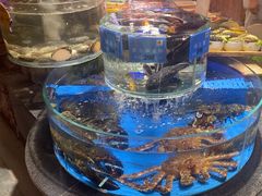 -乔家小院•非遗驴肉•本地小海鲜(滨河路店)