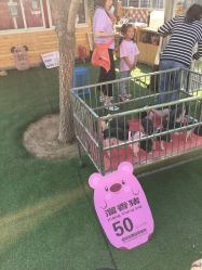 -萌宠亲子动物乐园(槐房万达店)