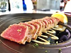 炙烧金枪鱼-盐说Salt Talk北美风味西餐厅(海上世界店)