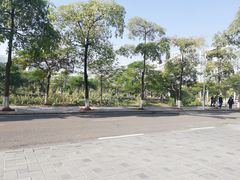 -华侨大学(厦门校区)