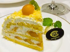 -COVA(上海K11艺术中心店)