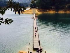 -广州市流溪河国家森林公园
