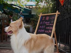 -豆舞咖啡(民乐路店)