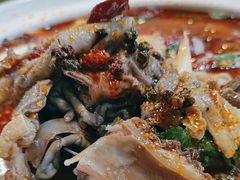 -清真·马坡烧烤涮牛肚·酸浆火锅(新区总店)