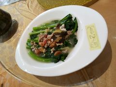 -台山颐和温泉城