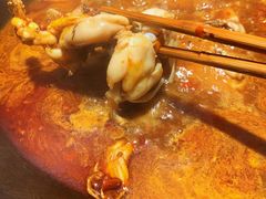 -老天桥蛙炉火锅(姑苏总店)