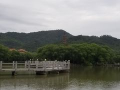 -天下玉苑