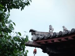 -善化寺
