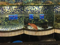 -揭阳钟记小食(福田新村店)