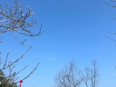 -径山寺