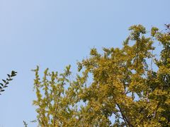 -西山漾湿地公园