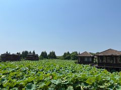 -军山湖云水间水上餐厅(进贤店)