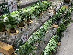 -鹿岛生活(熙地港店)