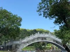 -杨梅坑
