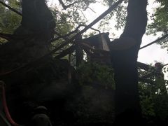 -塔云山