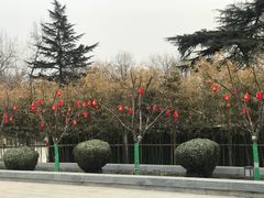 -莲湖公园