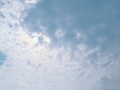 -观潮胜地公园