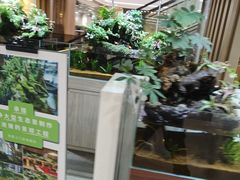 -剪刀石头布家居广场