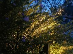 -洪湖家庭农场·团建·露营·会议