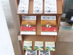 -盐城丹顶鹤湿地生态旅游区