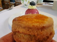 -蝶舍·MAISON PAPILLON