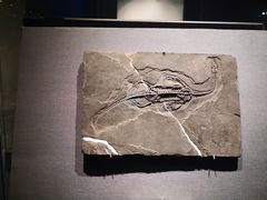 -贵州省博物馆(新馆)