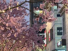 -中粮·祥云小镇