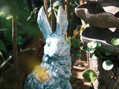 -又至园精品咖啡馆(将军塘店)