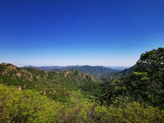-大岭沟猕猴桃谷风景区