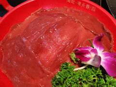 -渝宗老灶火锅(巴国城店)