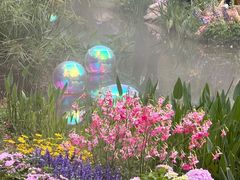 -人民公园(罗湖区)