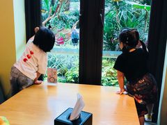 -美食小镇·观赏珍稀鸟类·长隆熊猫酒店