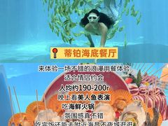 -亚龙湾站
