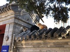 -大钟寺古钟博物馆