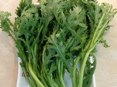 茼蒿（半份）-老胶东家常菜馆(市场一路店)