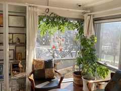 -精德口腔·种植修复·儿牙中心(财富中心店)