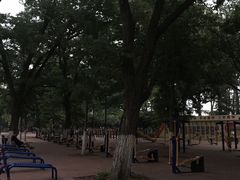 -康庄公园