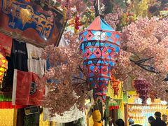 -吉祥圣雪藏餐
