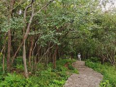 -南山风景名胜区