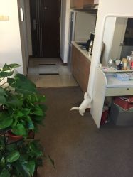 -尚美日式美甲美睫工作室